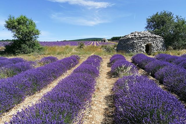 Voyage Randonnée littéraire en Provence