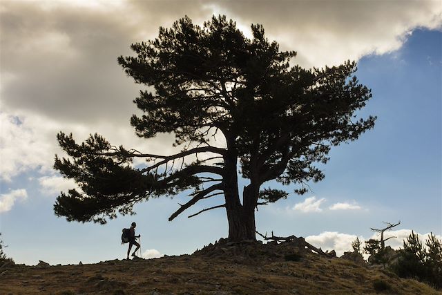Traversée de la Corse : GR20 Sud : de Bavella à Vizzavona Voyage GR20 Sud : de Bavella à Vizzavona