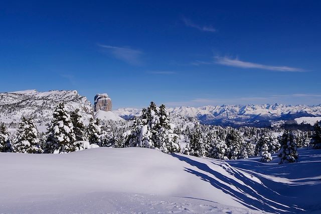 Voyage : Les loups des hauts plateaux du Vercors Voyage Les loups des hauts plateaux du Vercors