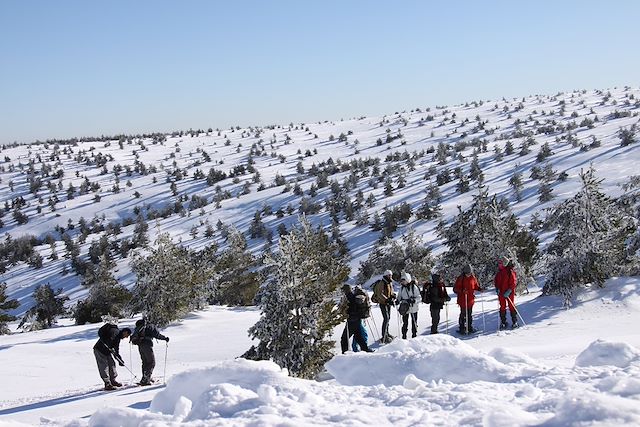 Raquette : Découverte neige à Bagnols-les-Bains Voyage Découverte neige à Bagnols-les-Bains