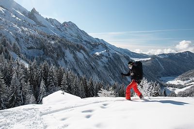 Ski de randonnée