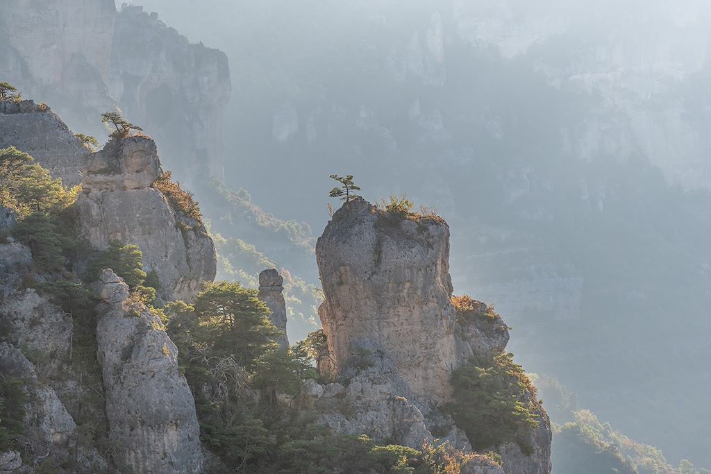 Voyage Massif Central