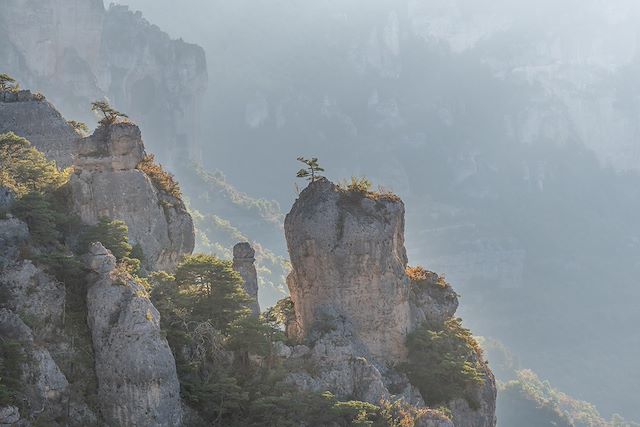Voyage Trek Cévenol, des Causses aux gorges du Tarn