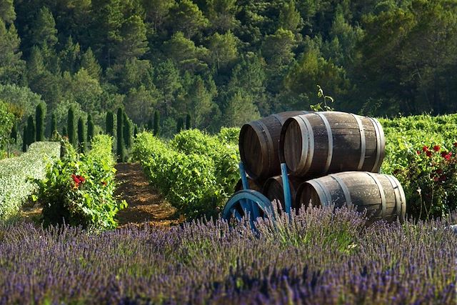 Voyage : Les Dentelles de Montmirail, douceur et terroir Voyage Les Dentelles de Montmirail, douceur et terroir