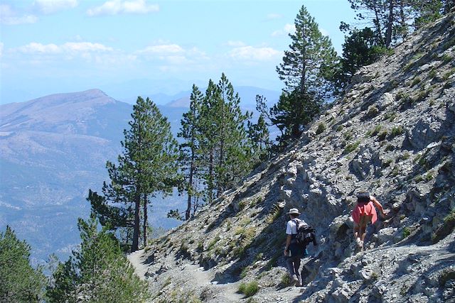 Voyage : Les Dentelles de Montmirail, douceur et terroir Voyage Les Dentelles de Montmirail, douceur et terroir