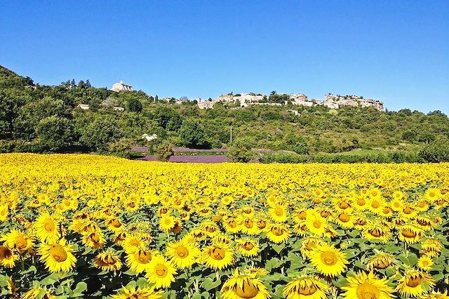 Patrimoine et Nature : À travers les Alpilles, sur les pas de Van Gogh Voyage À travers les Alpilles, sur les pas de Van Gogh