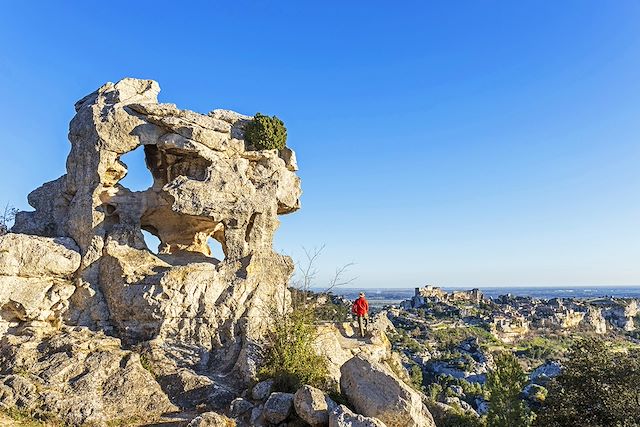 Patrimoine et Nature : À travers les Alpilles, sur les pas de Van Gogh Voyage À travers les Alpilles, sur les pas de Van Gogh
