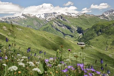 Voyage  Alpes du Nord