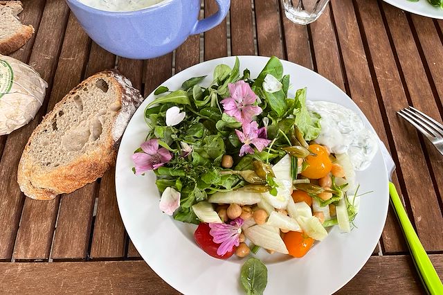 Voyage Les plantes sauvages comestibles d'Auvergne