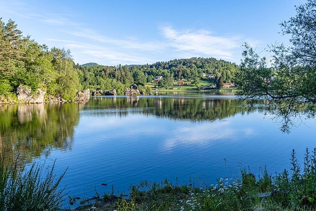 Voyage Les plantes sauvages comestibles d'Auvergne