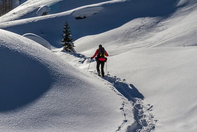 Neige : Évasion à raquettes au cœur des Dolomites Voyage Évasion à raquettes au cœur des Dolomites