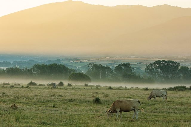 Pyrénées-Orientales : Randonnée dans le parc des Pyrénées catalanes Voyage Randonnée dans le parc des Pyrénées catalanes
