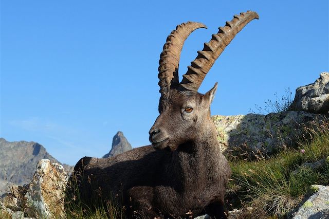 Vallée des Merveilles : Les merveilles du Mercantour Voyage Les merveilles du Mercantour