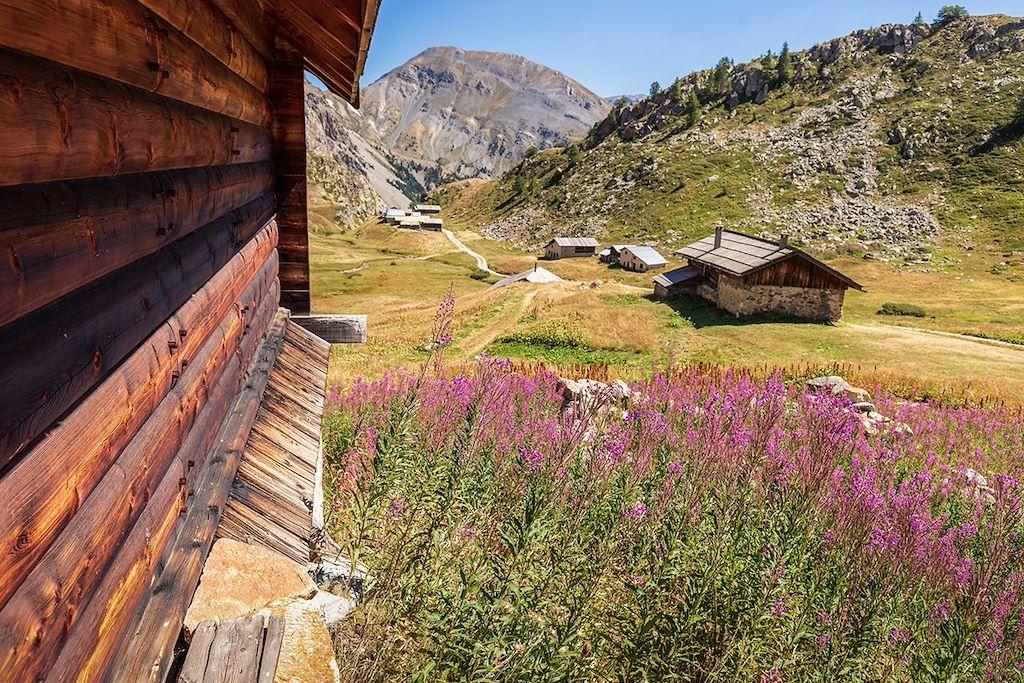 Voyage Alpes du Sud