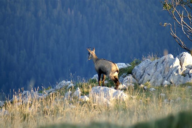 Voyage Découverte du massif de la Chartreuse