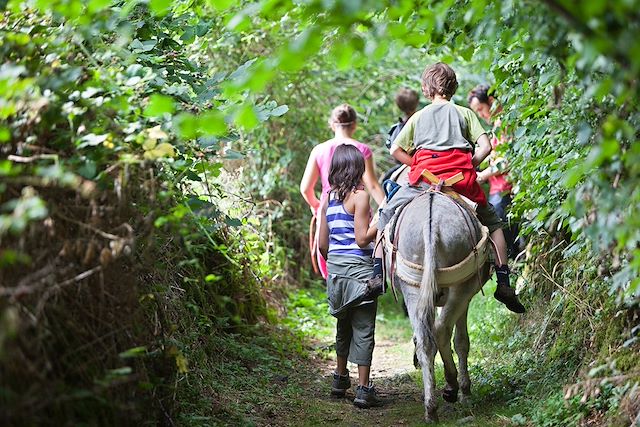 Voyage Rando âne près des volcans d'Auvergne