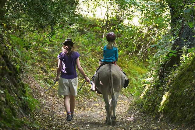 Voyage Rando âne près des volcans d'Auvergne