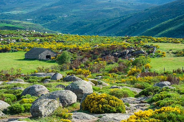 Voyage Chemin de Stevenson - Chass./St-Jean-du-Gard