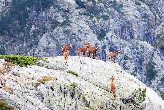 Voyage GR10 confort d'Etsaut à Cauterets