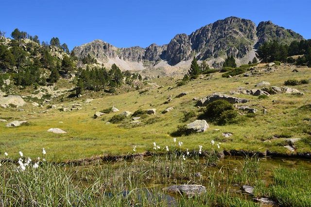 Voyage Les Pyrénées grandeur nature