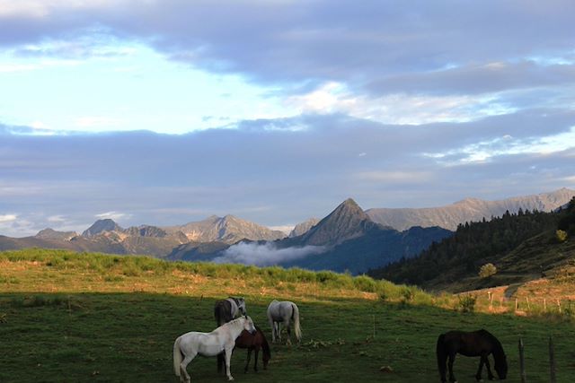 Voyage Les Pyrénées cathares avec un âne