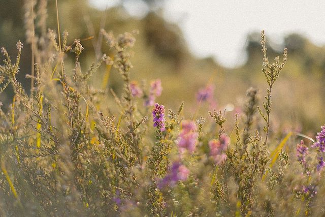 Voyage Immersion éco-responsable en famille