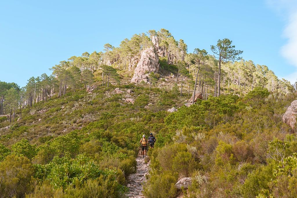 Trek Corse
