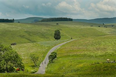 Vélo Massif Central