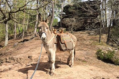 Voyage  Autres régions