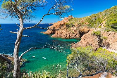 Voyage  Provence - Côte d'Azur