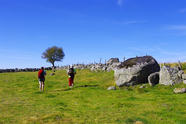 Voyage Ch. de Compostelle d'Aumont-Aubrac à Conques (2)