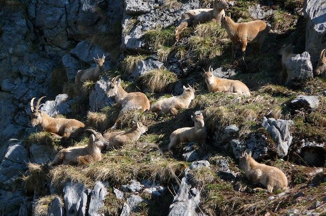 Voyage Traversée minérale au cœur des Fiz 
