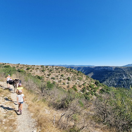 Randonnée avec âne