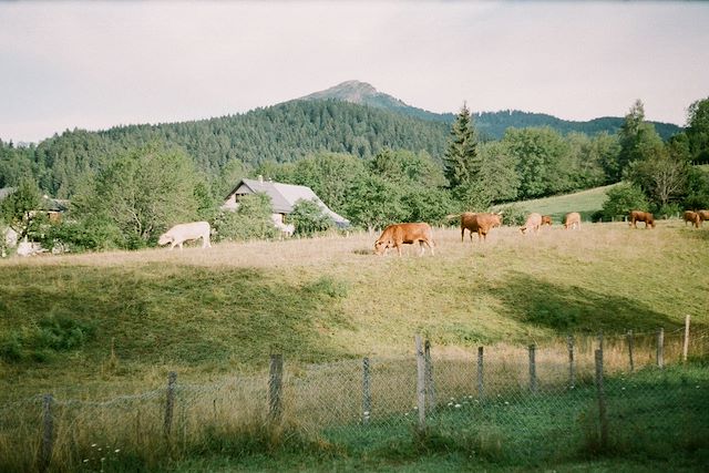 Voyage Le tour du Vercors