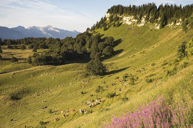Voyage Le tour du Vercors