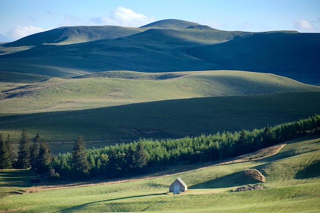 Voyage Cézallier, haut plateau d'Auvergne