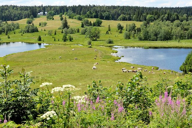 Voyage Charme et confort du Haut-Jura