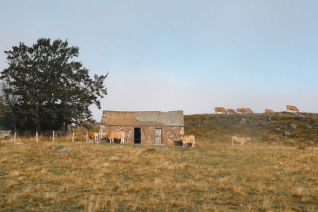 Voyage L'étoile de l'Aubrac