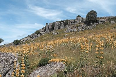 Randonnée Massif Central