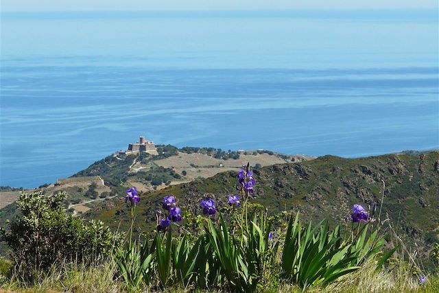 Voyage Nouvel an à Collioure