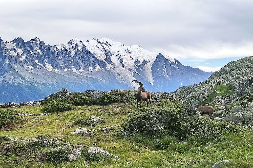 Micro-aventure France