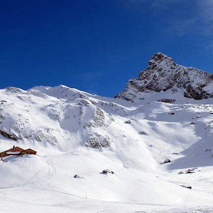 Ski de fond et ski nordique France