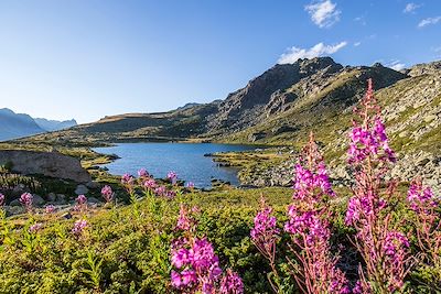 Trek Alpes du Sud