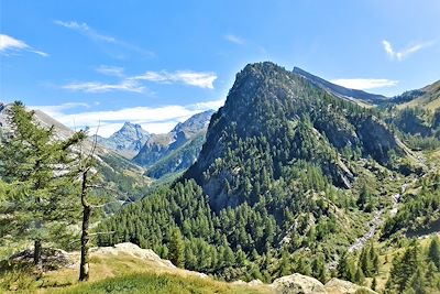Trek Alpes du Sud