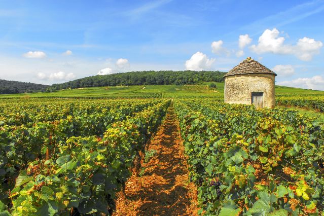 Voyage Les voies vertes de Bourgogne en famille 1