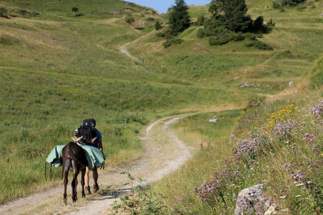 Voyage Les Pyrénées cathares avec un âne 3