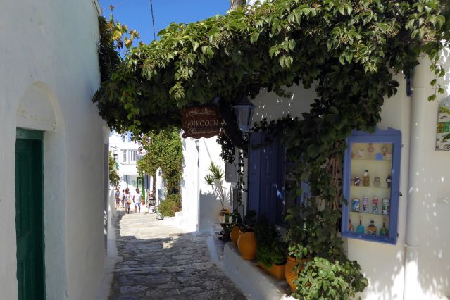 Voyage Santorin, Amorgos et Naxos : entre mer et montagne