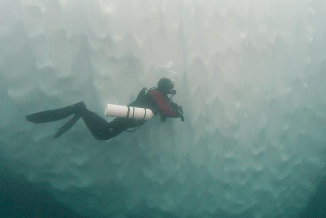 Voyage Plongée sous les glaces du fjord Sermilik