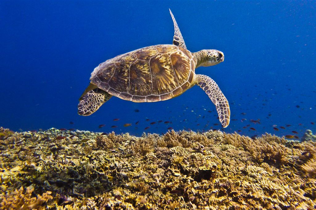 Voyage Lombok