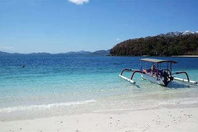 Bali, rizières, mer et volcans